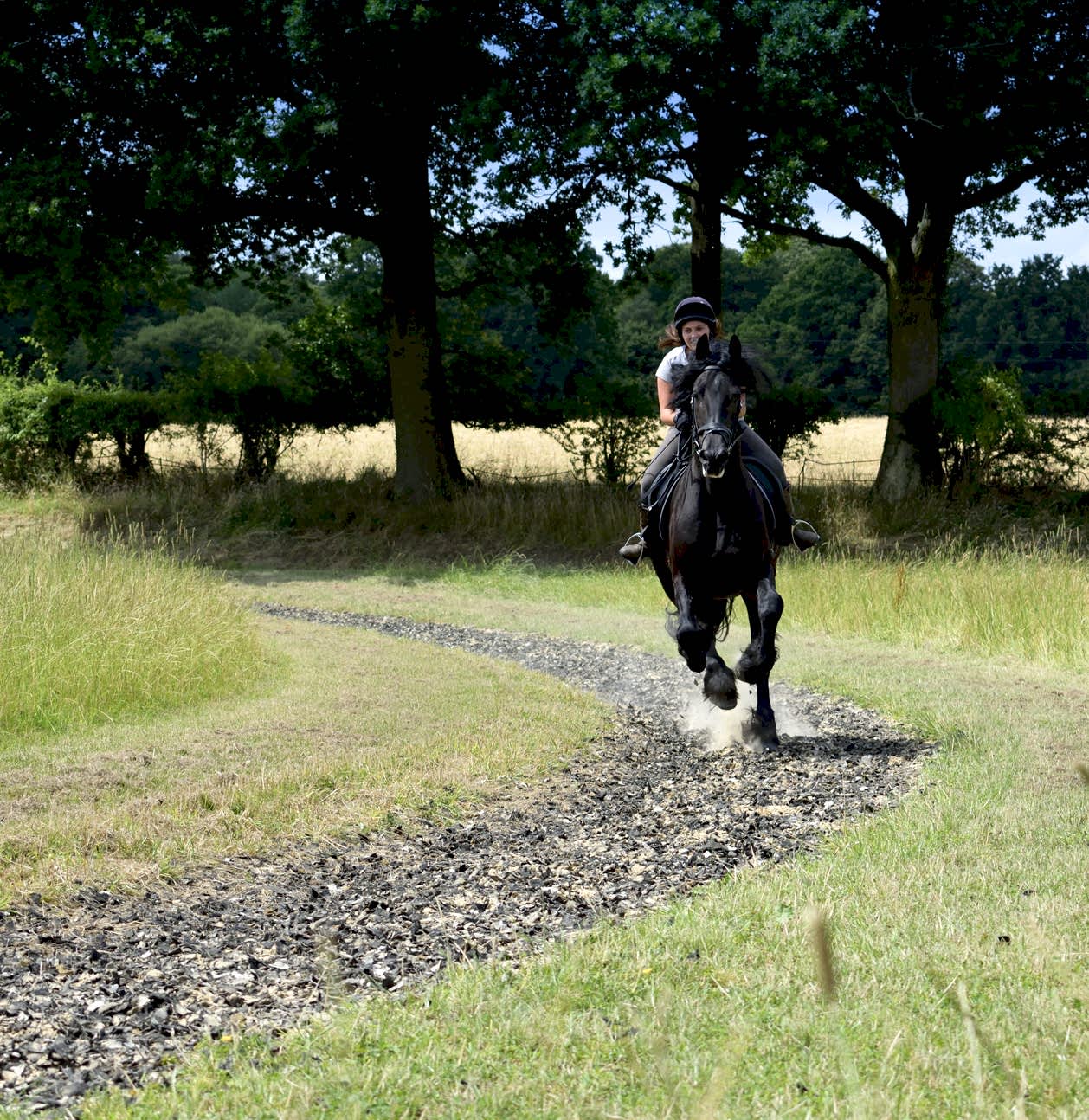 /media/34284/gallops.jpg